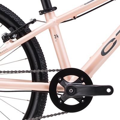 ctm-rocky-sl-matna-svetloruzova-d2